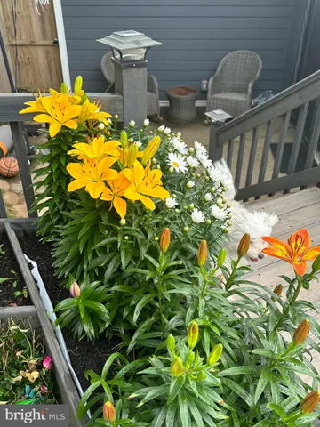 a view of swimming pool with a yard and outdoor seating