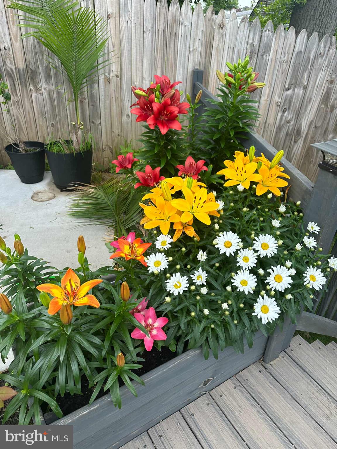 245 Trenton Road Fairless Hills, PA 19030 - Photo 39 of 43 a view of a flowers in a garden