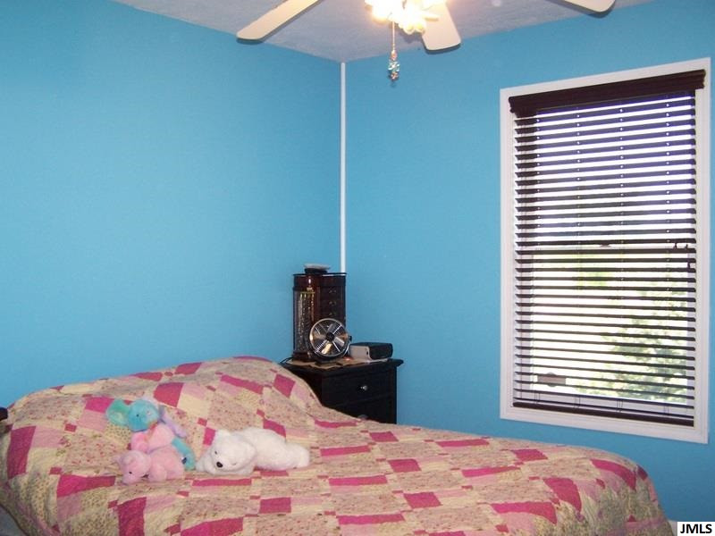 15669 Wheaton Road Brooklyn, MI 49230 - Photo 11 of 25 Photo 11
