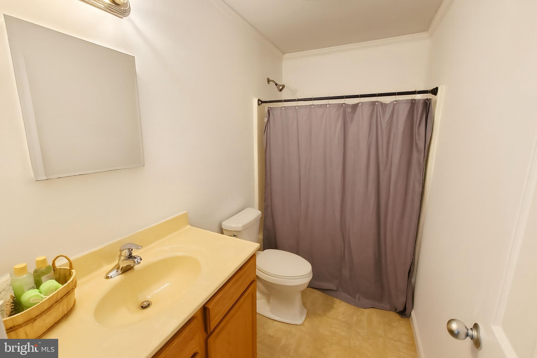 200 Mile Ridge Estates Strasburg, VA 22641 - Photo 10 of 18 a bathroom with a sink mirror and toilet