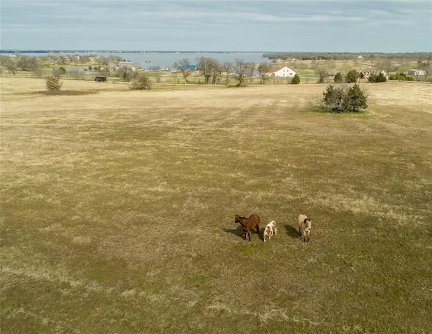 $3,800,000 | 14604 Southeast County Road 2370, Streetman, TX 75859