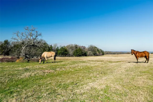 $3,800,000 | 14604 Southeast County Road 2370, Streetman, TX 75859