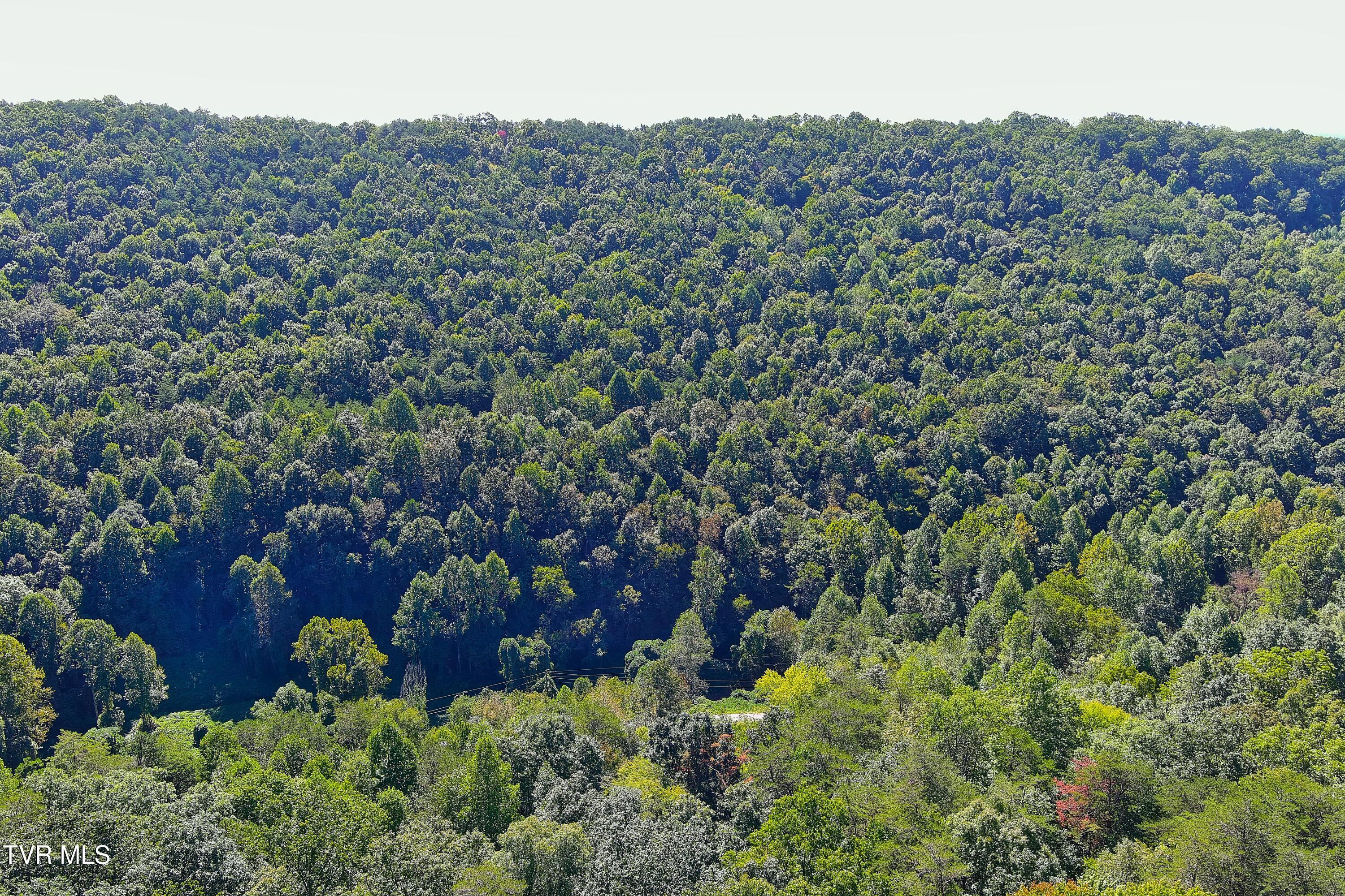 0 Speedwell Church Road, Unit 7 Bulls Gap, TN 37711 - Photo 21 of 32 065