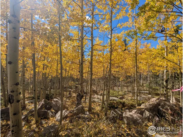 $695,000 | 0 Bear Gulch Road, Red Feather Lakes, CO 80545