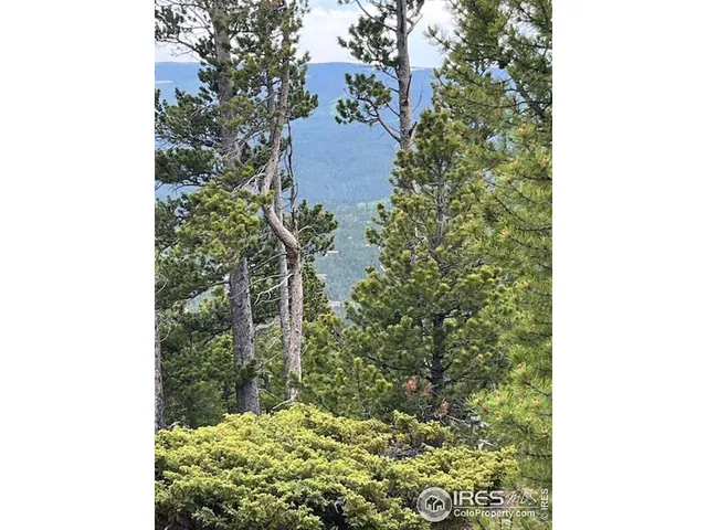 $695,000 | 0 Bear Gulch Road, Red Feather Lakes, CO 80545