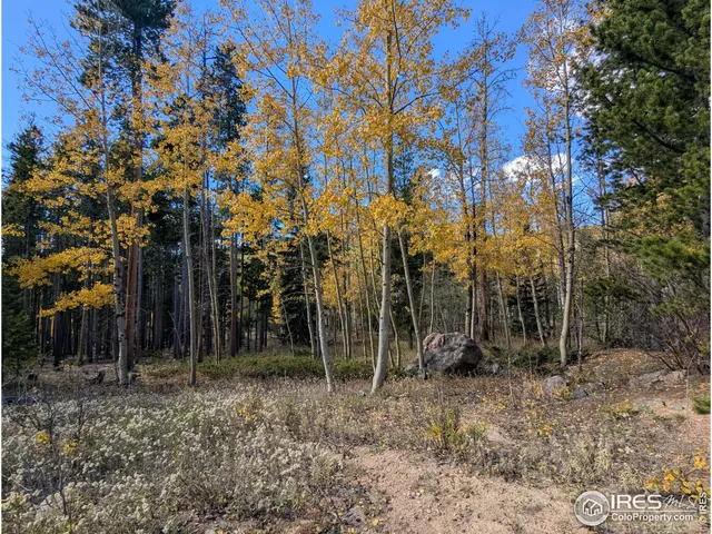 $695,000 | 0 Bear Gulch Road, Red Feather Lakes, CO 80545