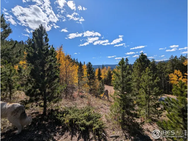 $695,000 | 0 Bear Gulch Road, Red Feather Lakes, CO 80545