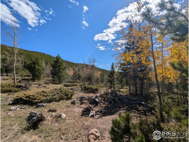 $695,000 | 0 Bear Gulch Road, Red Feather Lakes, CO 80545
