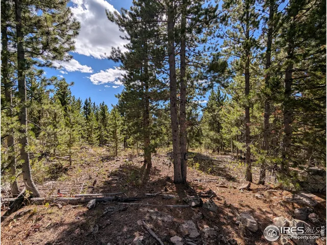 $695,000 | 0 Bear Gulch Road, Red Feather Lakes, CO 80545