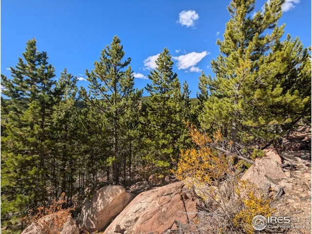 $695,000 | 0 Bear Gulch Road, Red Feather Lakes, CO 80545