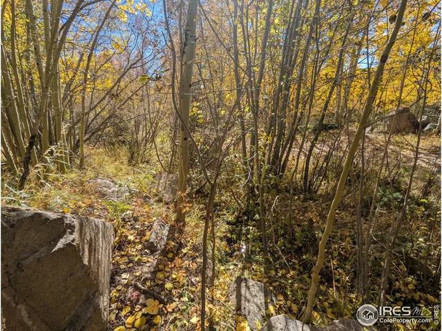 $695,000 | 0 Bear Gulch Road, Red Feather Lakes, CO 80545