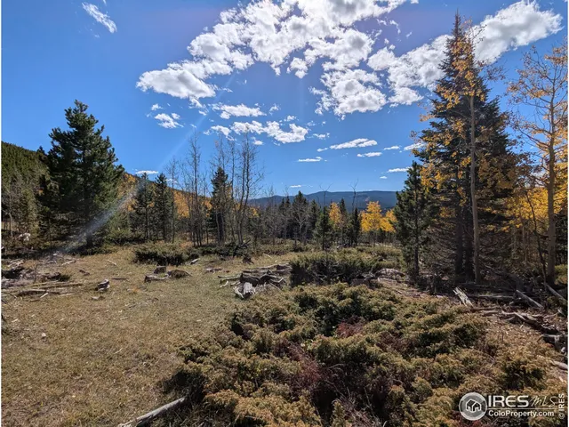 $695,000 | 0 Bear Gulch Road, Red Feather Lakes, CO 80545