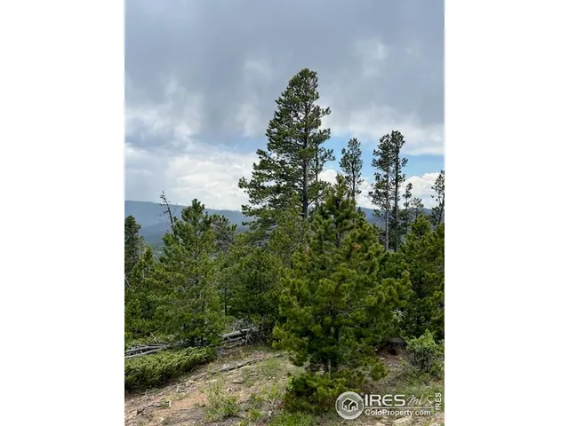 $695,000 | 0 Bear Gulch Road, Red Feather Lakes, CO 80545