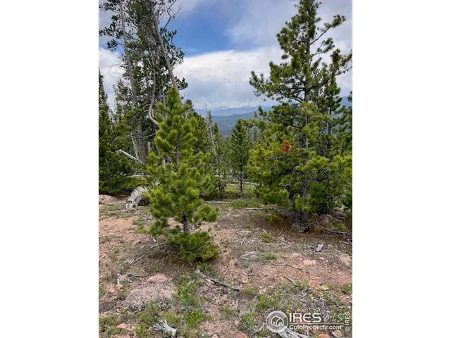 $695,000 | 0 Bear Gulch Road, Red Feather Lakes, CO 80545