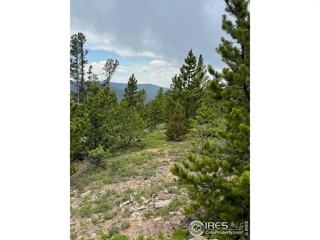 $695,000 | 0 Bear Gulch Road, Red Feather Lakes, CO 80545