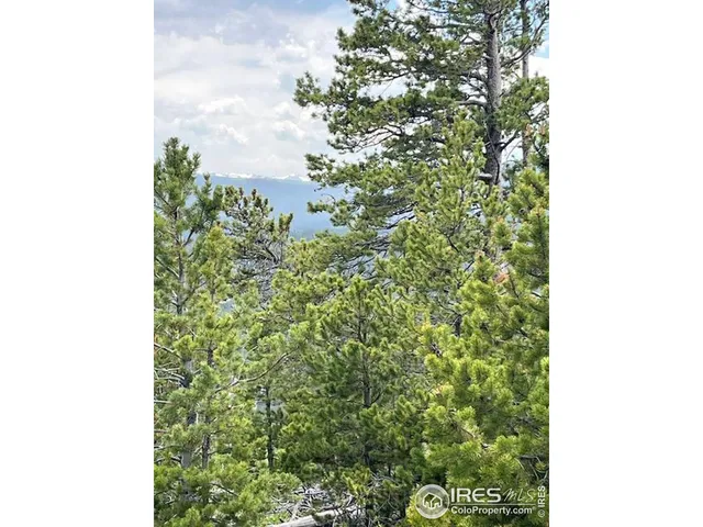 $695,000 | 0 Bear Gulch Road, Red Feather Lakes, CO 80545