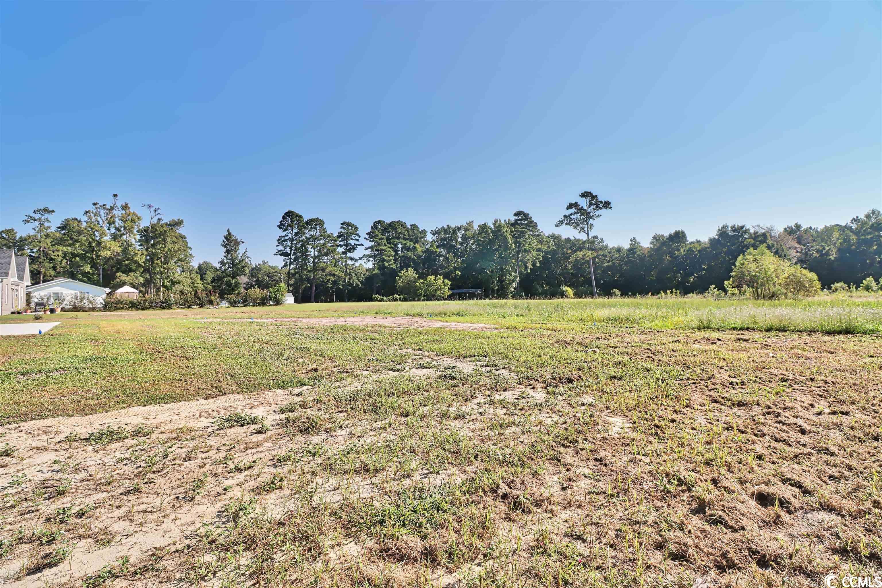 1039 Tolar Road Galivants Ferry, SC 29544 - Photo 21 of 21 Gallery Image 21