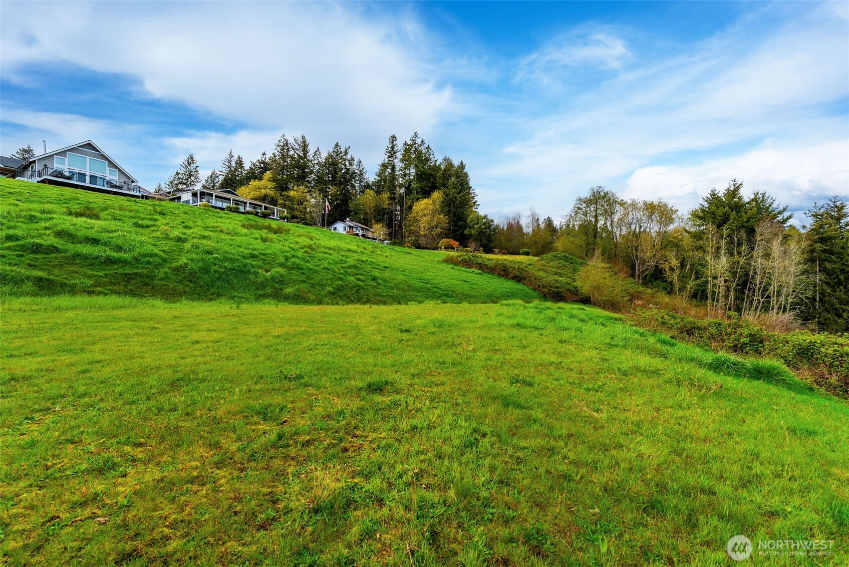 9214 163rd Avenue Southwest Longbranch, WA 98351 - Photo 13 of 33 a view of a big yard with potted plants and large tree