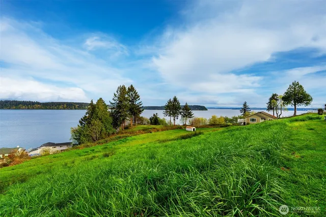 a view of a lake with a yard