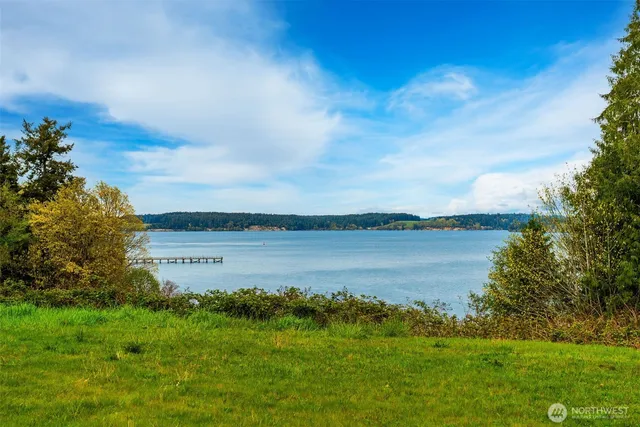 a view of a lake from a yard