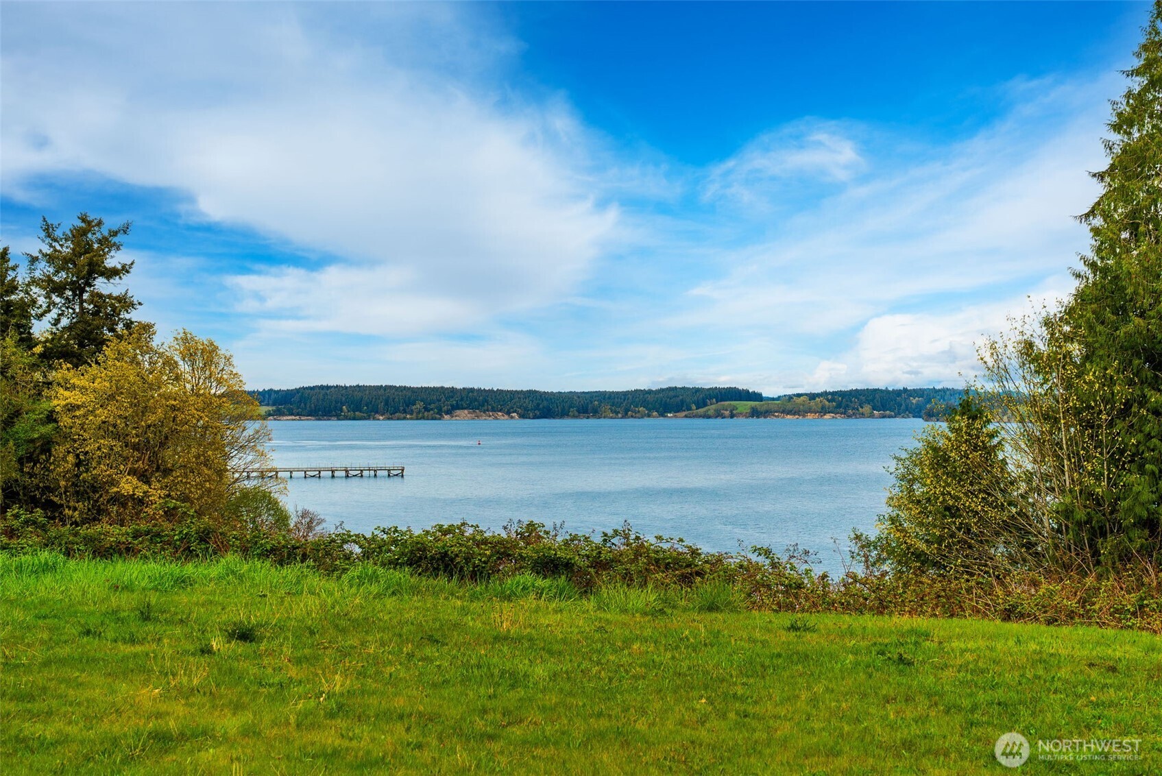 9214 163rd Avenue Southwest Longbranch, WA 98351 - Photo 8 of 33 a view of a lake from a yard
