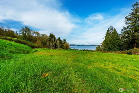 a yard with lots of green space