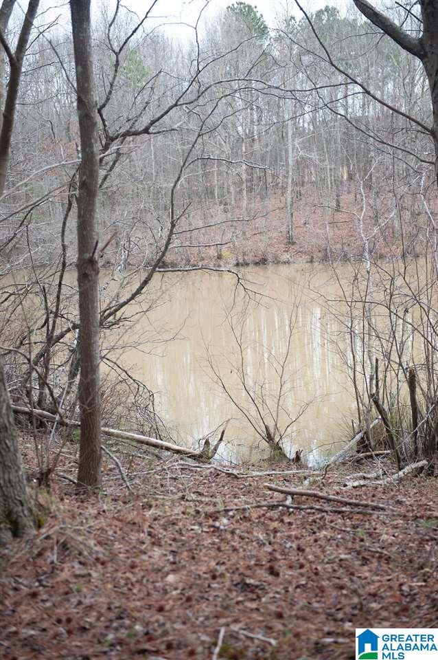 1085 Jones Chapel Loop Springville, AL 35146 - Photo 32 of 32