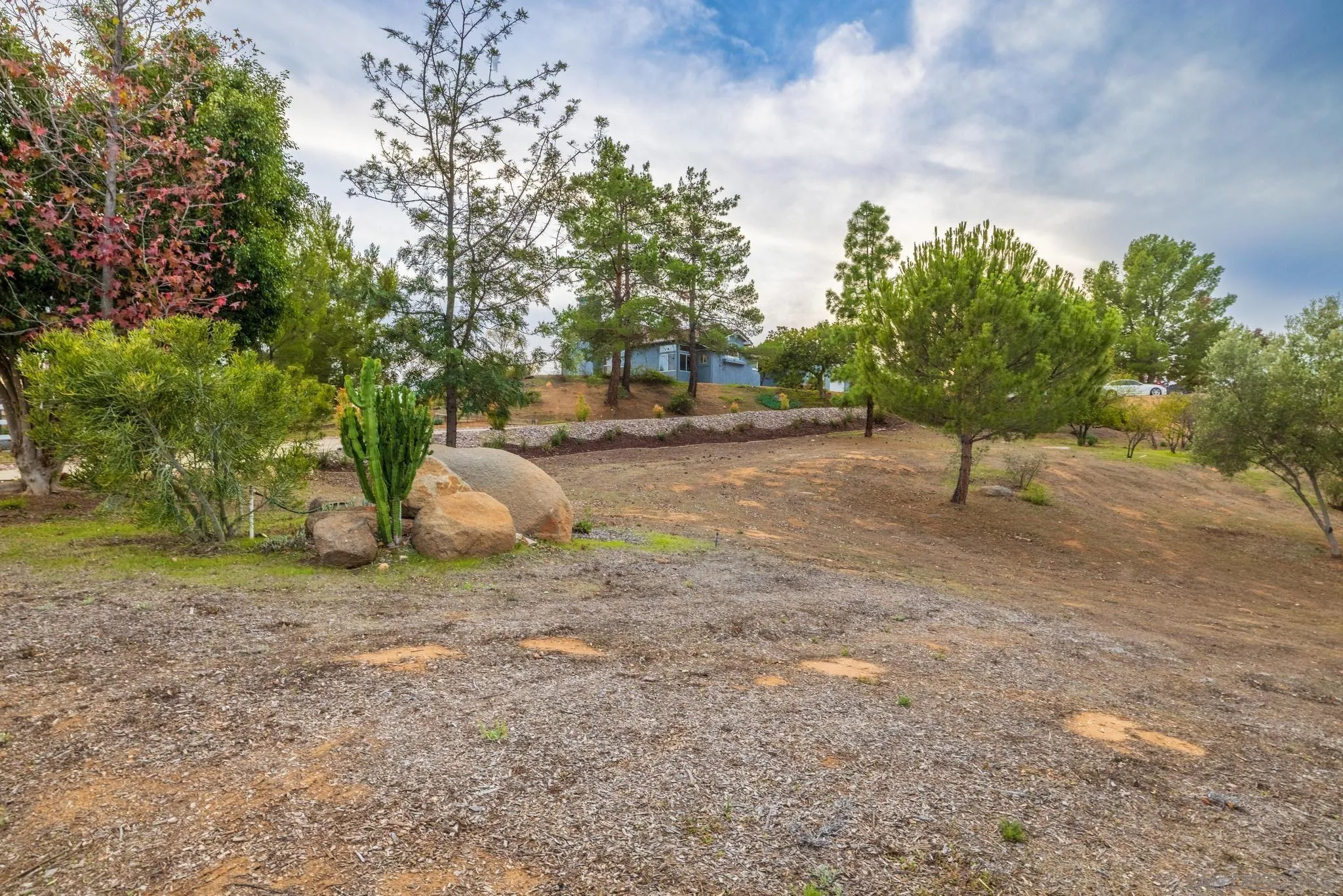 1019 Bremen Way Alpine, CA 91901 - Photo 39 of 68 a view of a yard with a tree