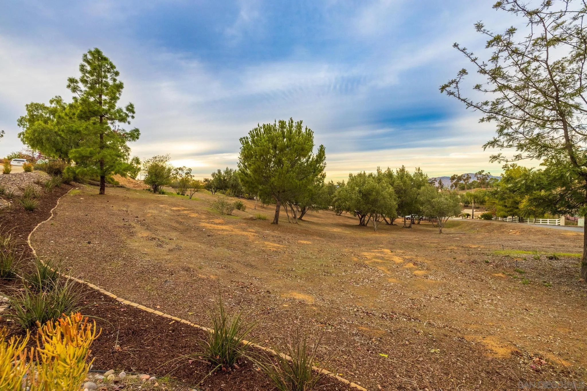 1019 Bremen Way Alpine, CA 91901 - Photo 40 of 68 a view of a field with large trees