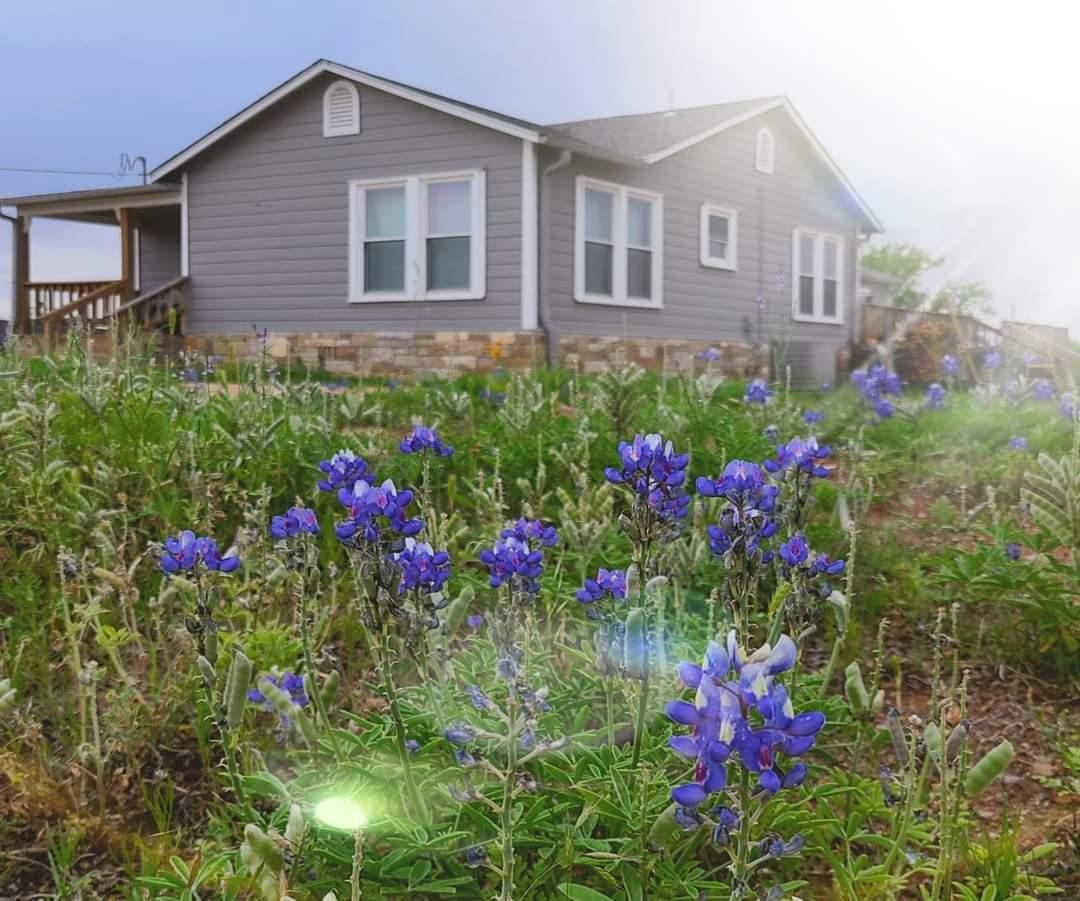 a view of a house with a flower garden in front of it