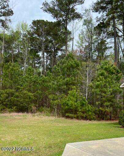 3916 Nantucket Road, Unit A Greenville, NC 27834 - Photo 30 of 31 IMG_4287