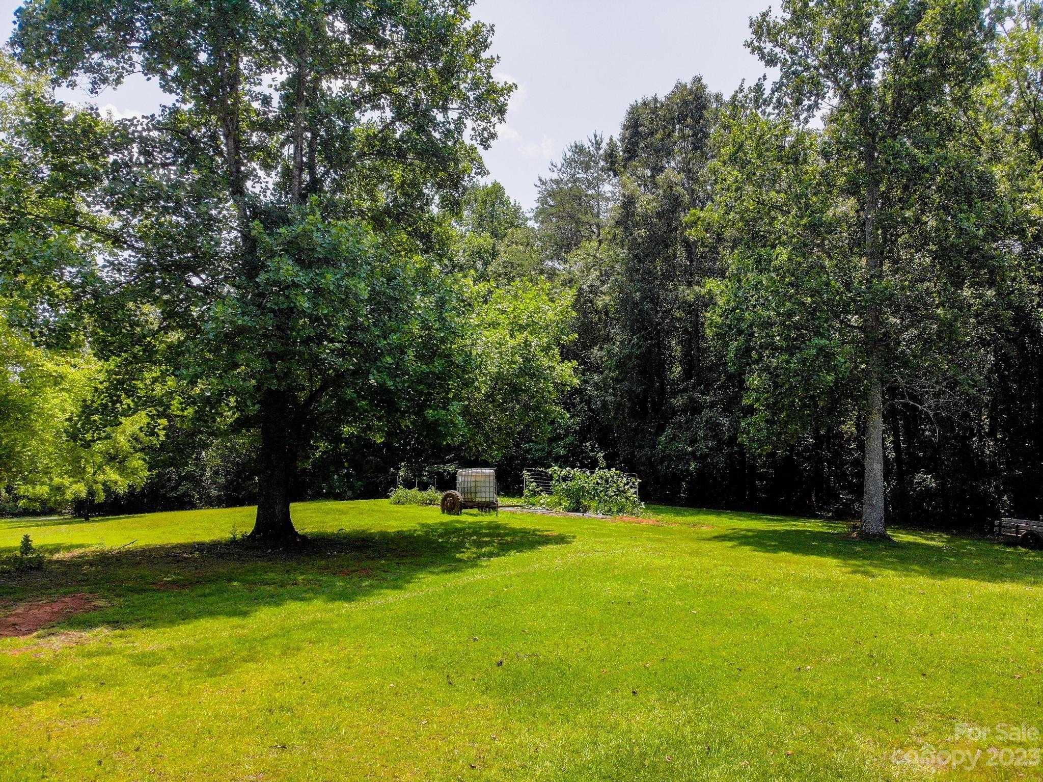 709 Green Road Rutherfordton, NC 28139 - Photo 12 of 46 a view of a park with large trees
