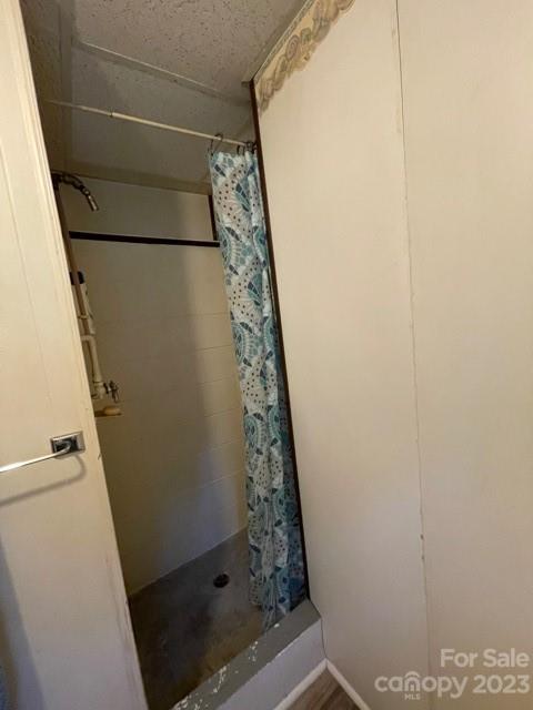 709 Green Road Rutherfordton, NC 28139 - Photo 39 of 46 a bathroom with a shower