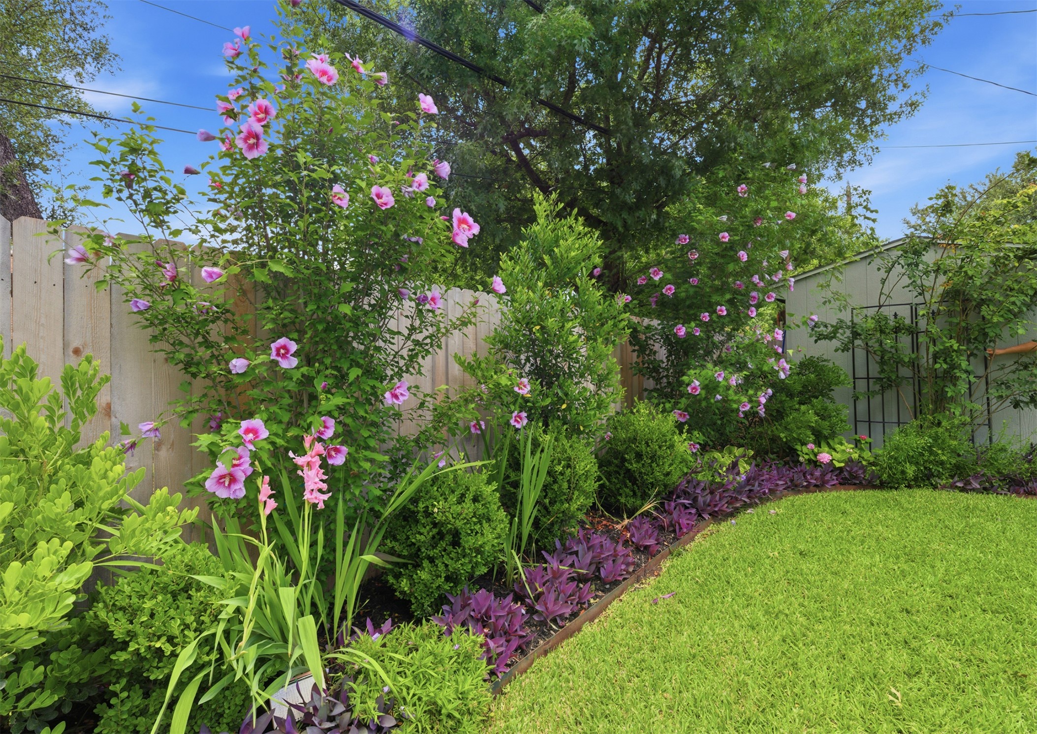 2810 Brandy Lane Georgetown, TX 78628 - Photo 34 of 38 a view of a flower in a garden with flowers