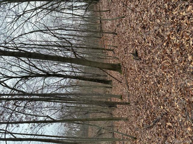 2.76 Perry Lake Road Ortonville, MI 48462 - Photo 6 of 8