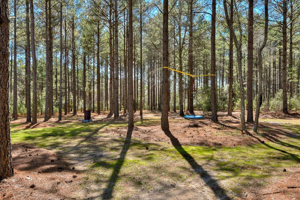 860 Youngblood Road Edgefield, SC 29824 - Photo 29 of 33