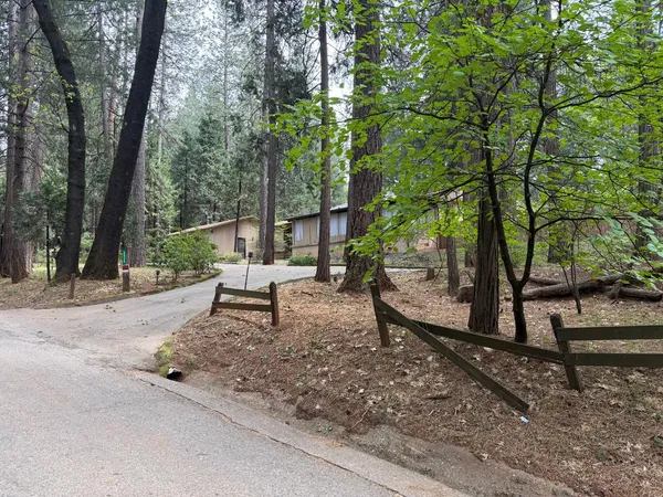 a view of a park with large trees