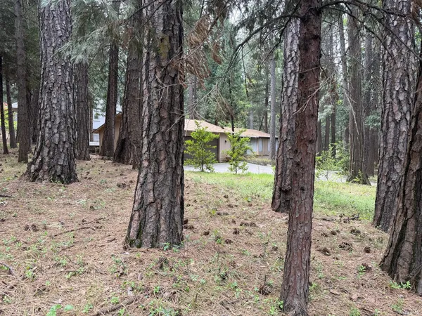 a view of a yard with a tree