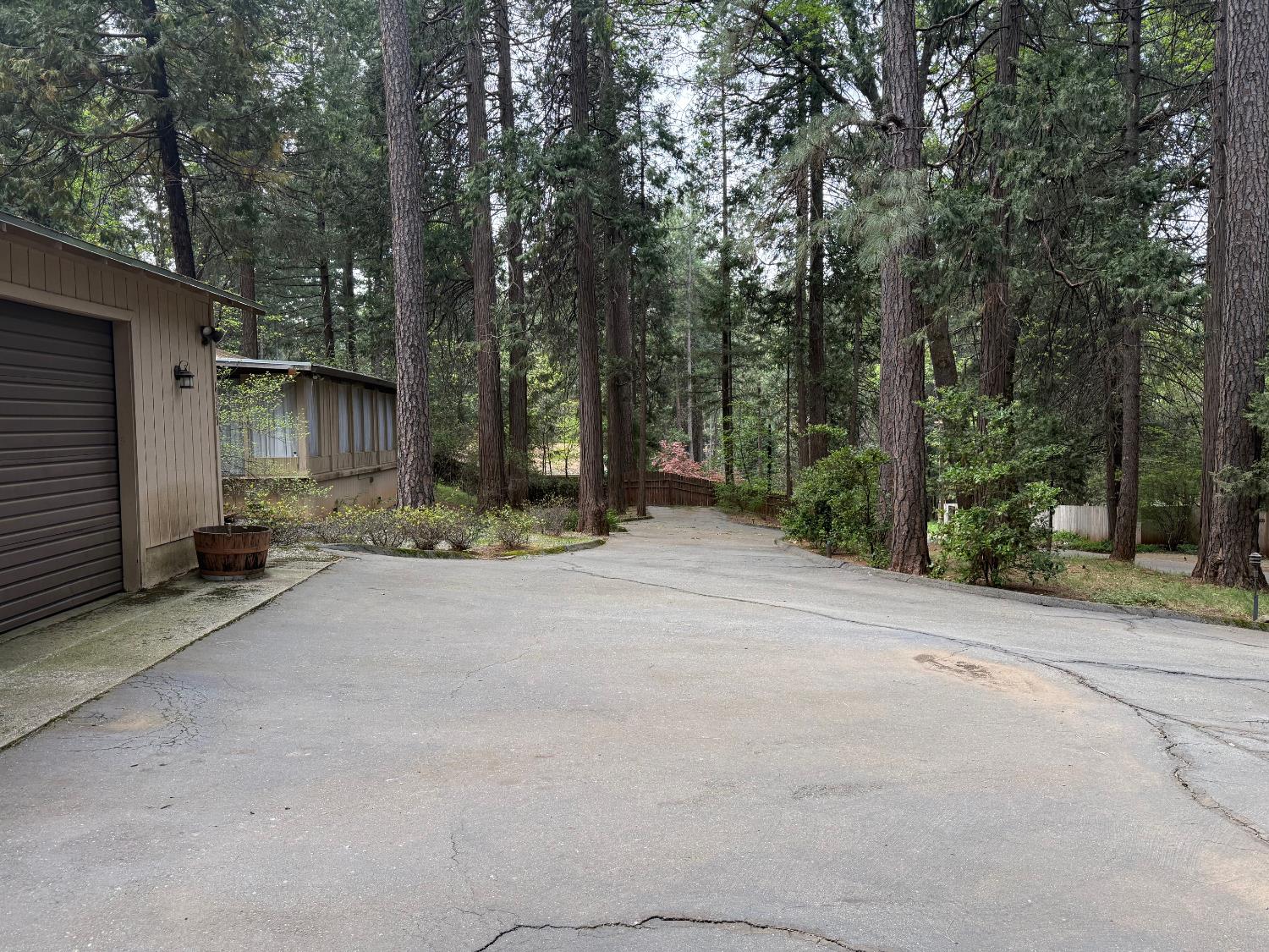 6538 Perry Road Magalia, CA 95954 - Photo 5 of 39 a backyard of a house with trees and outdoor space