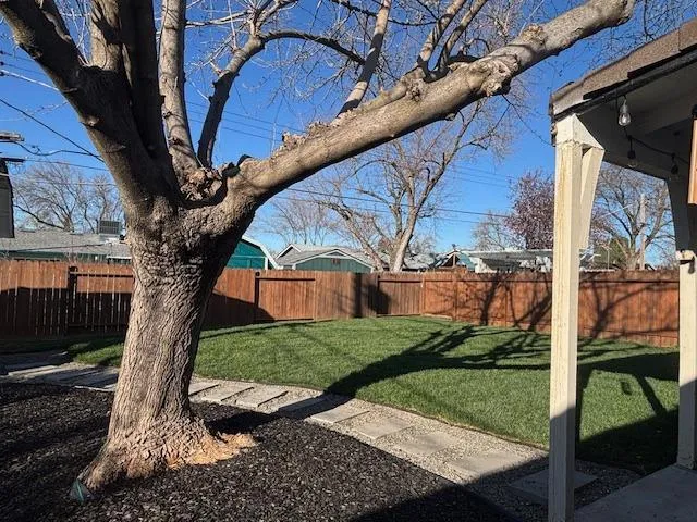 a backyard of a house with lots of green space
