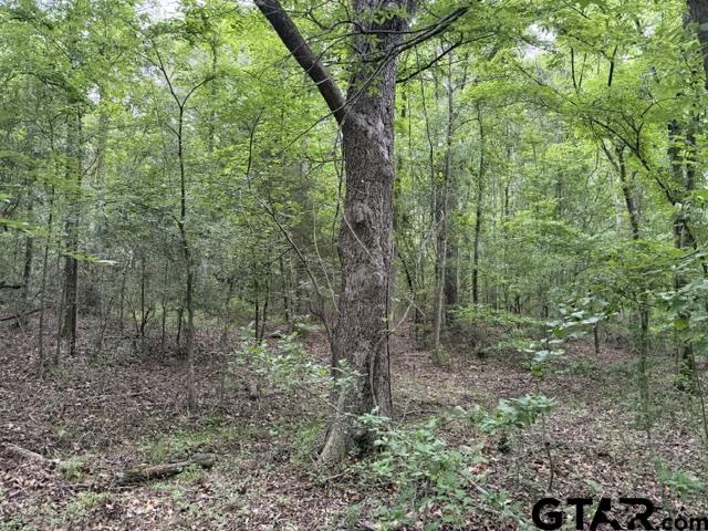 0 County Road 1204 Rusk, TX 75785 - Photo 29 of 32