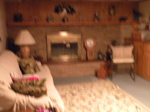 12605 Baldwin Road Chesaning, MI 48616 - Photo 10 of 16 31103849-9.JPG