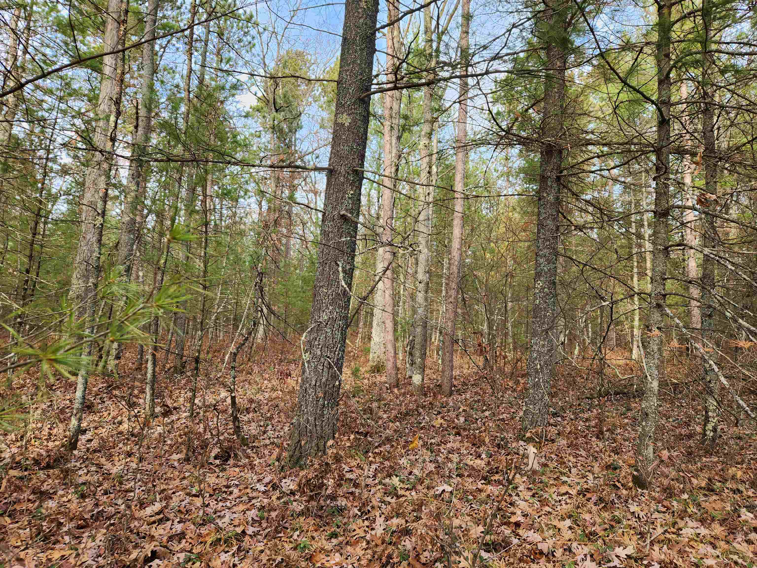 Vl Hall Creek Road Interlochen, MI 49643 - Photo 1 of 5