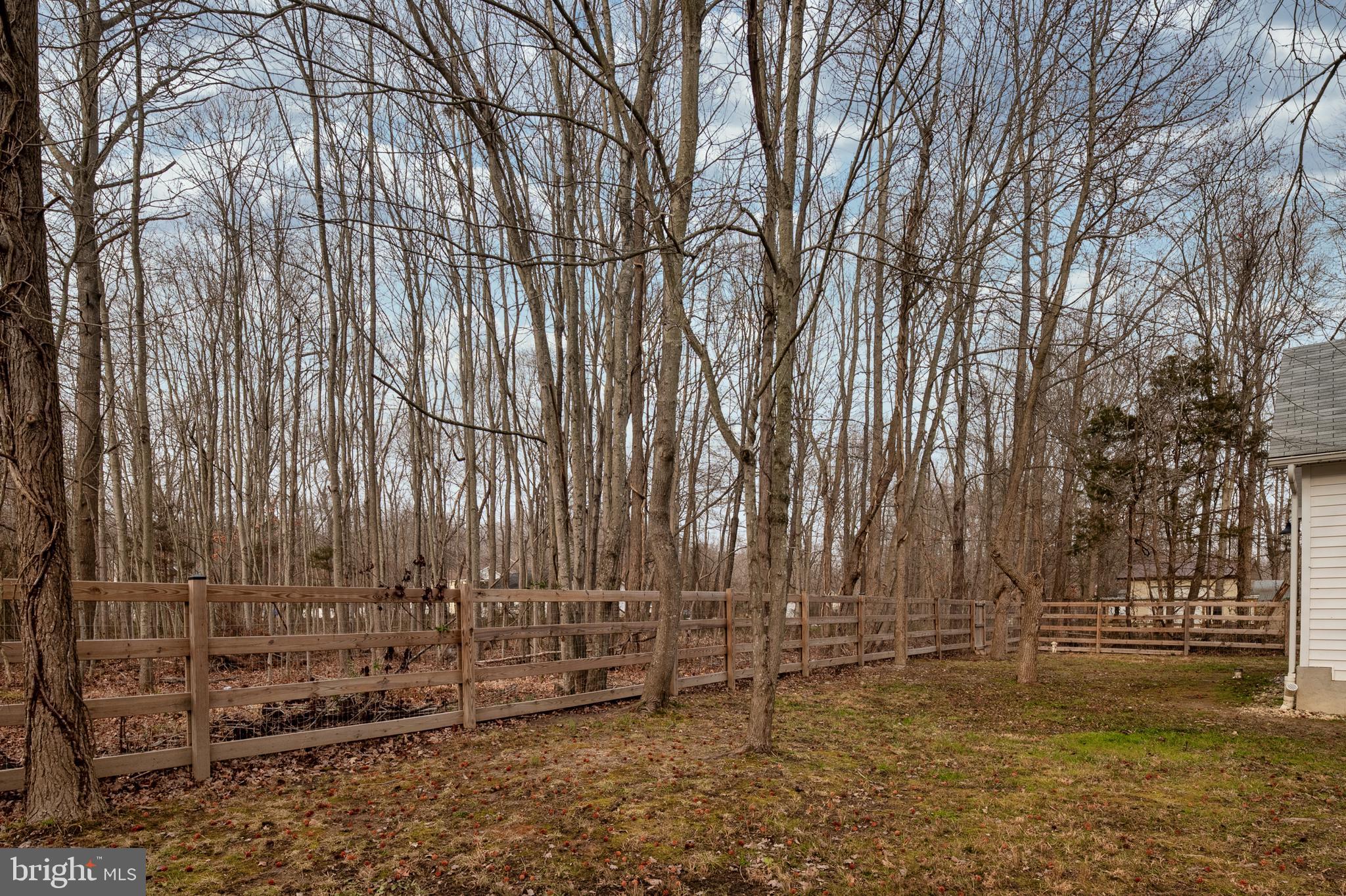 5610 Deale Churchton Road Churchton, MD 20733 - Photo 21 of 24 Property extends into woods.