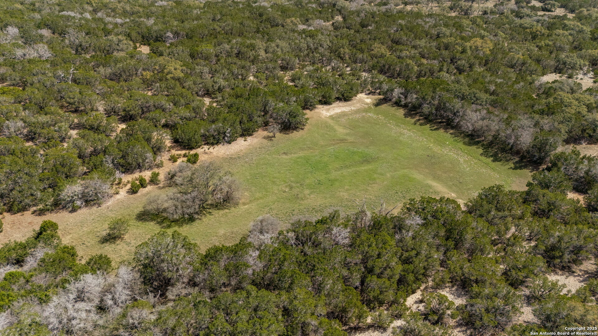3584 Privilege Creek Road Pipe Creek, TX 78063 - Photo 12 of 66 a view of a forest with a lake