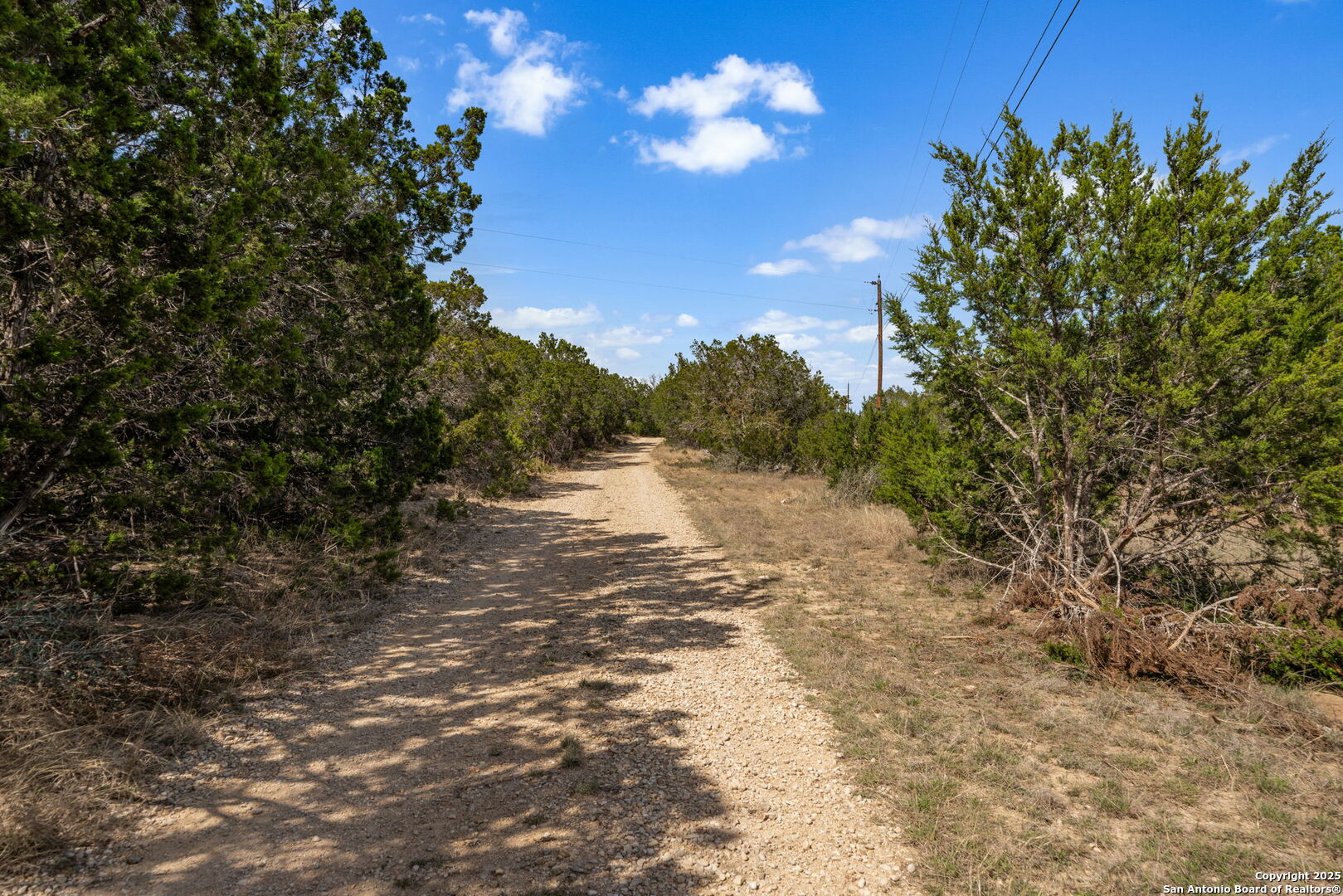 3584 Privilege Creek Road Pipe Creek, TX 78063 - Photo 64 of 66 a view of a yard with a tree
