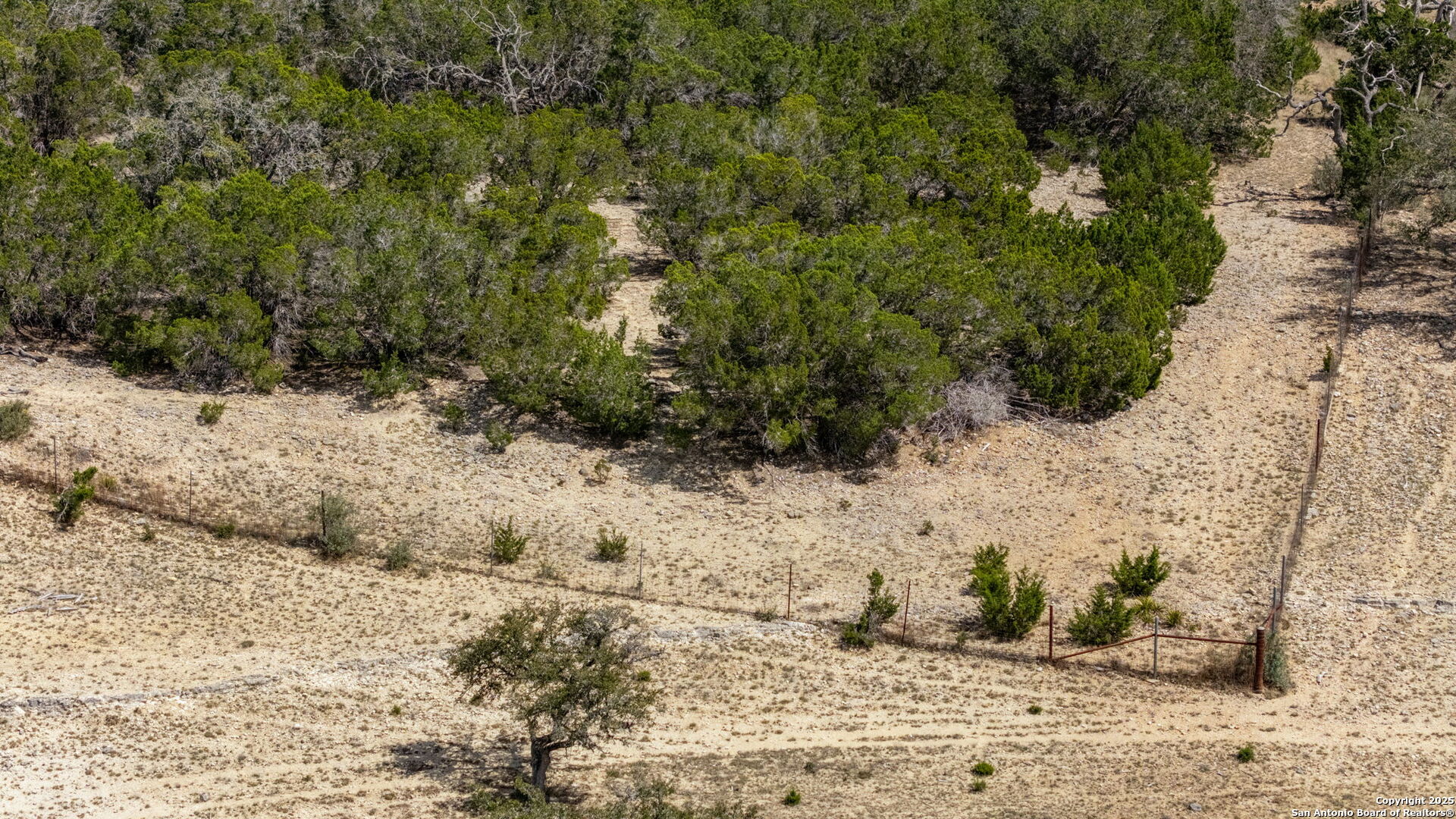 3584 Privilege Creek Road Pipe Creek, TX 78063 - Photo 10 of 66