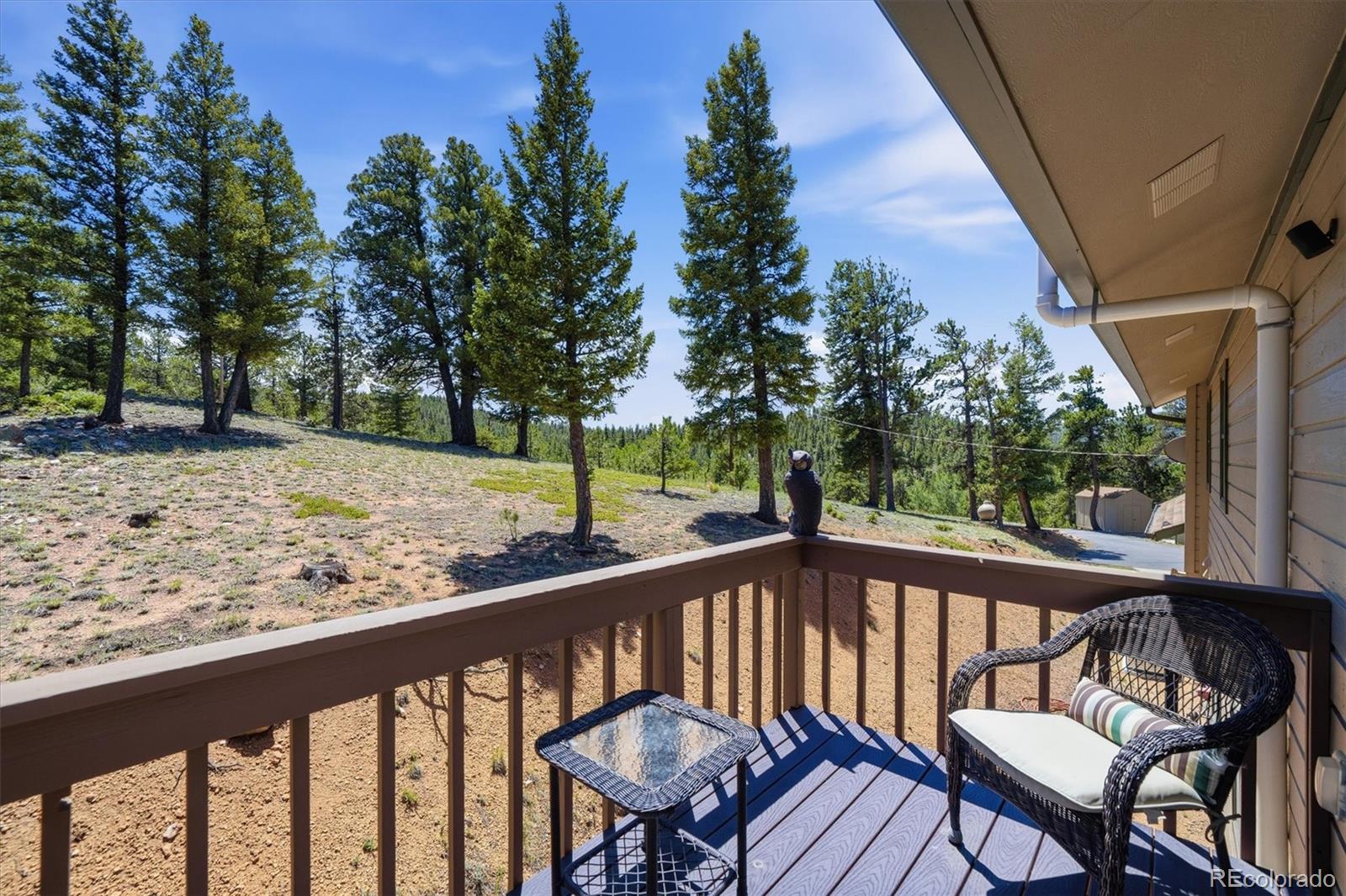224 Hangmans Road Bailey, CO 80421 - Photo 19 of 31