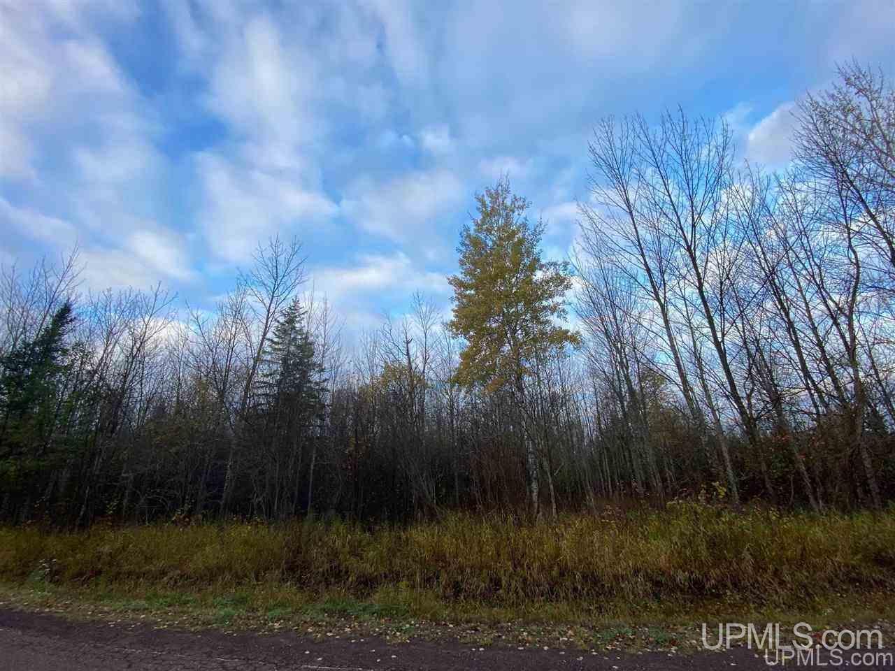 Tbd Rauhala Road Atlantic Mine, MI 49905 - Photo 2 of 27 Gallery Image 2