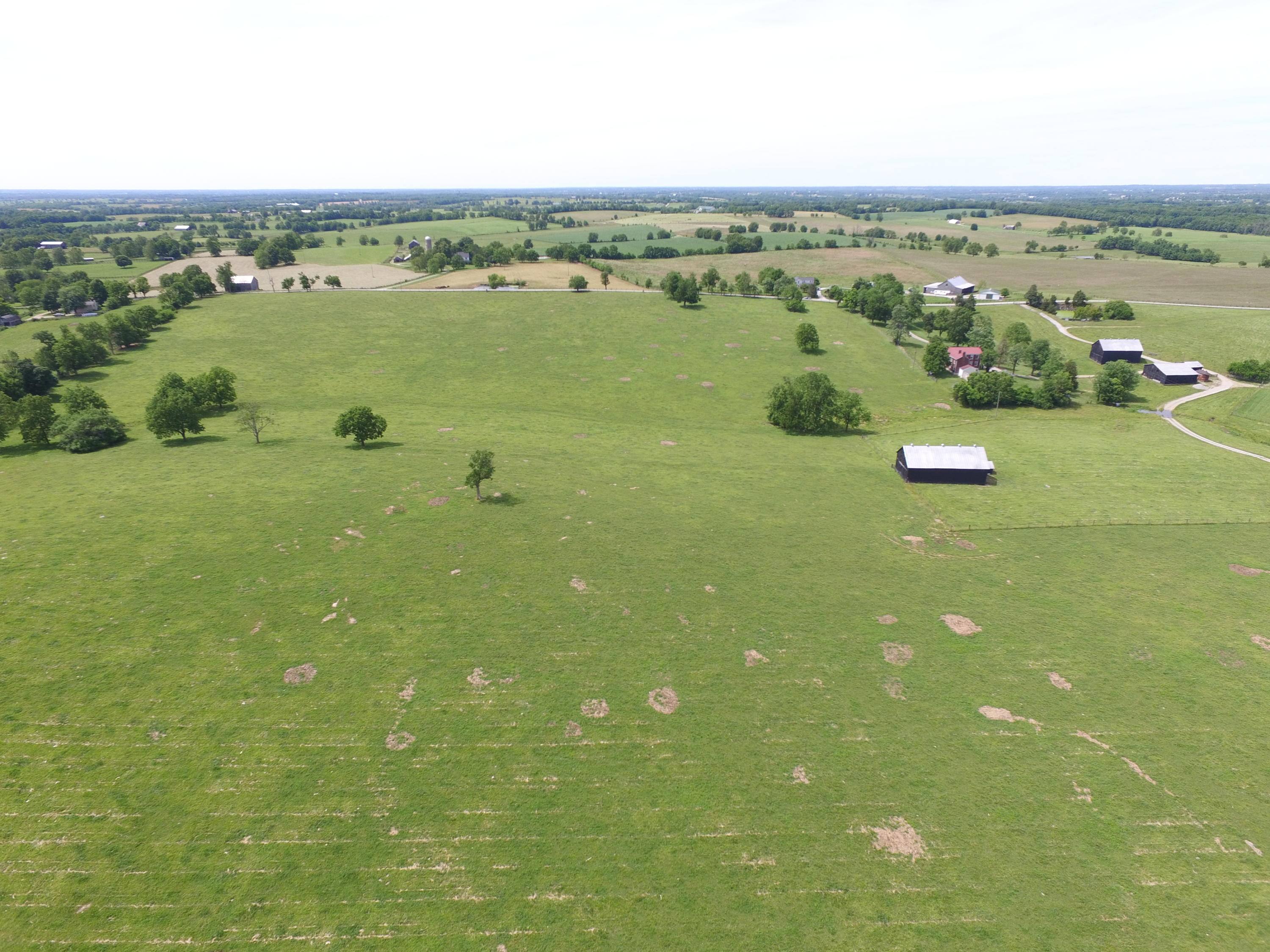 1236 Jackstown Road Paris, KY 40361 - Photo 8 of 41 pic8